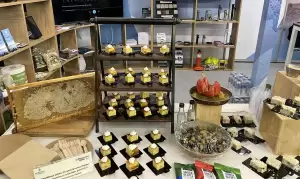 Δυναμική Παρουσία Επιμελητηρίου Πιερίας στη Philoxenia Hotelia 2025 με Μεγάλη Επισκεψιμότητα