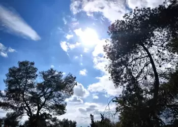 Αυτόματο προσχέδιο