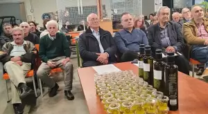 Αυτόματο προσχέδιο