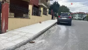 Δήμος Δίου Ολύμπου: Αλλάζουν όψη οι επεκτάσεις της Λεπτοκαρυάς και του Λιτοχώρου με κρασπεδώσεις και κατασκευή πεζοδρομίων