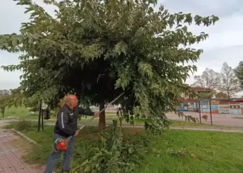 Ο Δήμος Κατερίνης φροντίζει το πράσινο