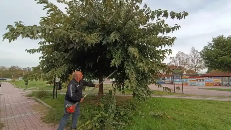 Ο Δήμος Κατερίνης φροντίζει το πράσινο