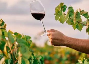 Δωρεάν επισκέψεις σε οινοποιεία της Βόρειας Ελλάδας για την Παγκόσμια Ημέρα Οινοτουρισμού