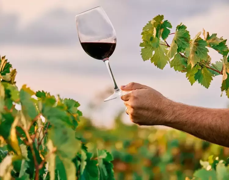 Δωρεάν επισκέψεις σε οινοποιεία της Βόρειας Ελλάδας για την Παγκόσμια Ημέρα Οινοτουρισμού