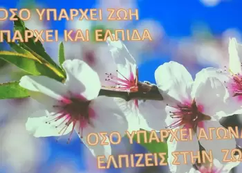 Δώρο και Γέφυρα Ζωής στην Κατερίνη – Διήμερο Συνέδριο για τη Δωρεά Οργάνων (εικόνες & βίντεο)