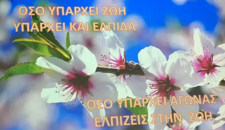 Δώρο και Γέφυρα Ζωής στην Κατερίνη – Διήμερο Συνέδριο για τη Δωρεά Οργάνων (εικόνες & βίντεο)