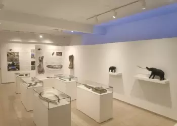 Ενίσχυση της Έκθεσης «Μαστόδοντας»: Νέες θέσεις πρακτικής και επένδυση στην τοπική ανάπτυξη Ενίσχυση της Έκθεσης «Μαστόδοντας»: Νέες θέσεις πρακτικής και επένδυση στην τοπική ανάπτυξη