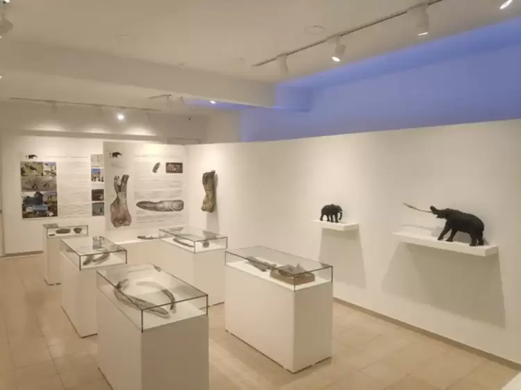 Ενίσχυση της Έκθεσης «Μαστόδοντας»: Νέες θέσεις πρακτικής και επένδυση στην τοπική ανάπτυξη