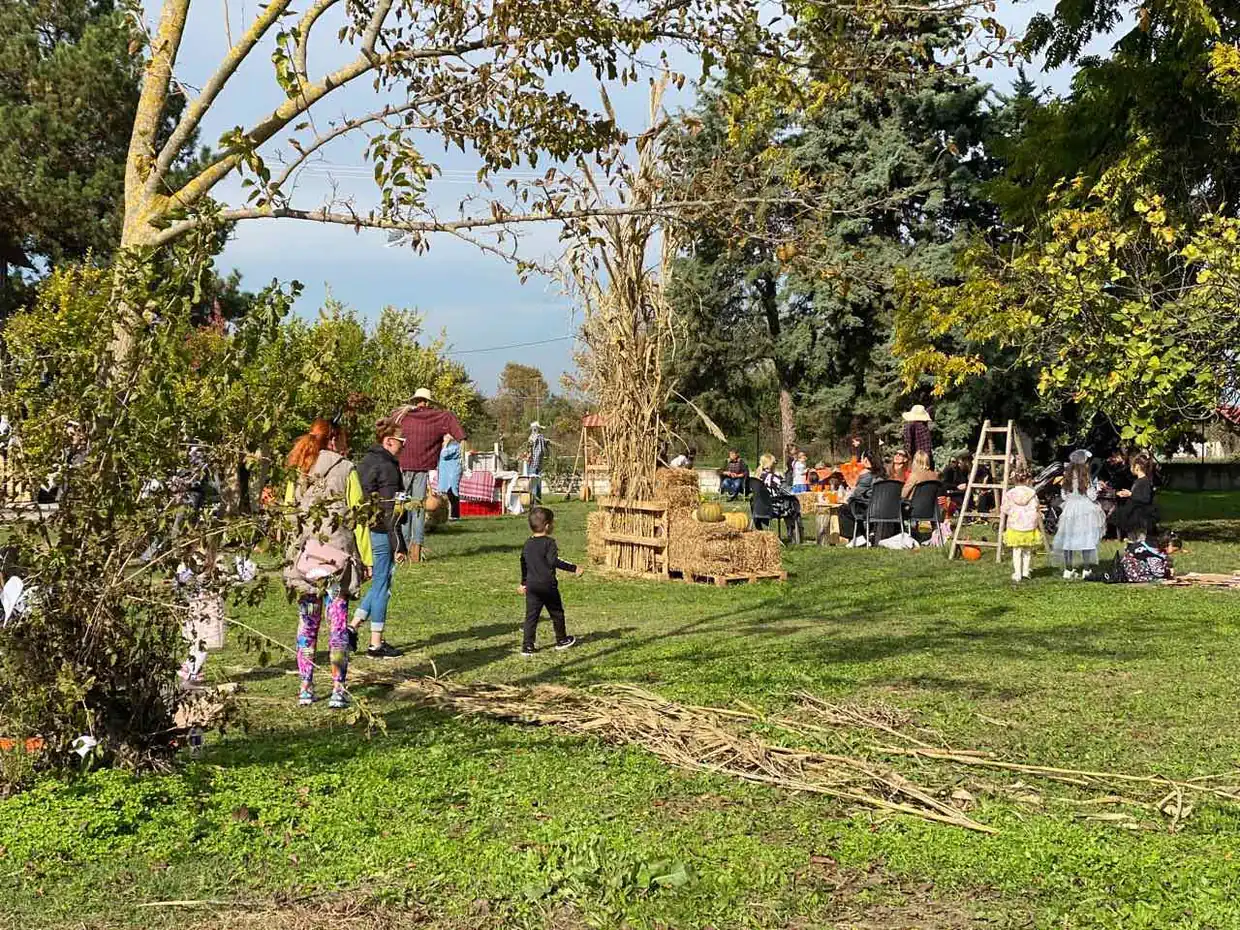 Μία χαρούμενη γιορτή κολοκύθας στην Ολυμπιακή Ακτή Κατερίνης