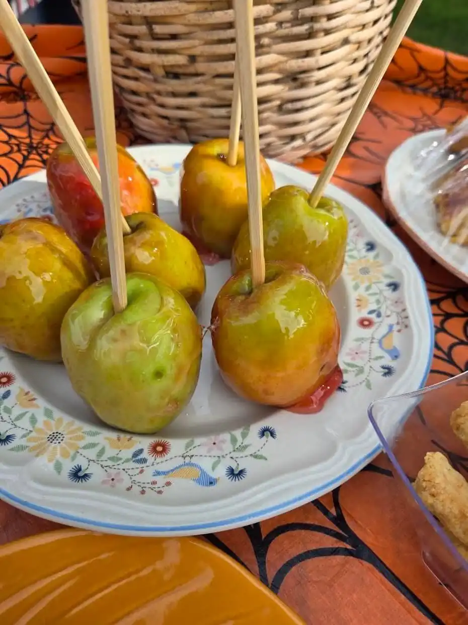 Μία χαρούμενη γιορτή κολοκύθας στην Ολυμπιακή Ακτή