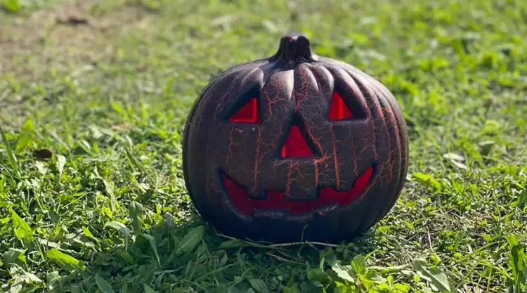 Μία χαρούμενη γιορτή κολοκύθας στην Ολυμπιακή Ακτή Κατερίνης (εικόνες) Μία χαρούμενη γιορτή κολοκύθας στην Ολυμπιακή Ακτή Κατερίνης