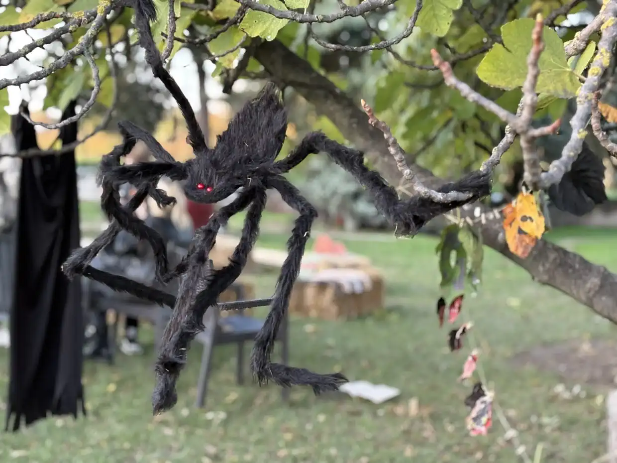 Μία χαρούμενη γιορτή κολοκύθας στην Ολυμπιακή Ακτή