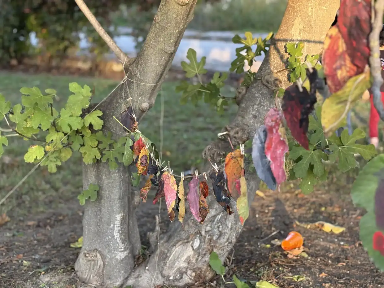 Μία χαρούμενη γιορτή κολοκύθας στην Ολυμπιακή Ακτή Κατερίνης