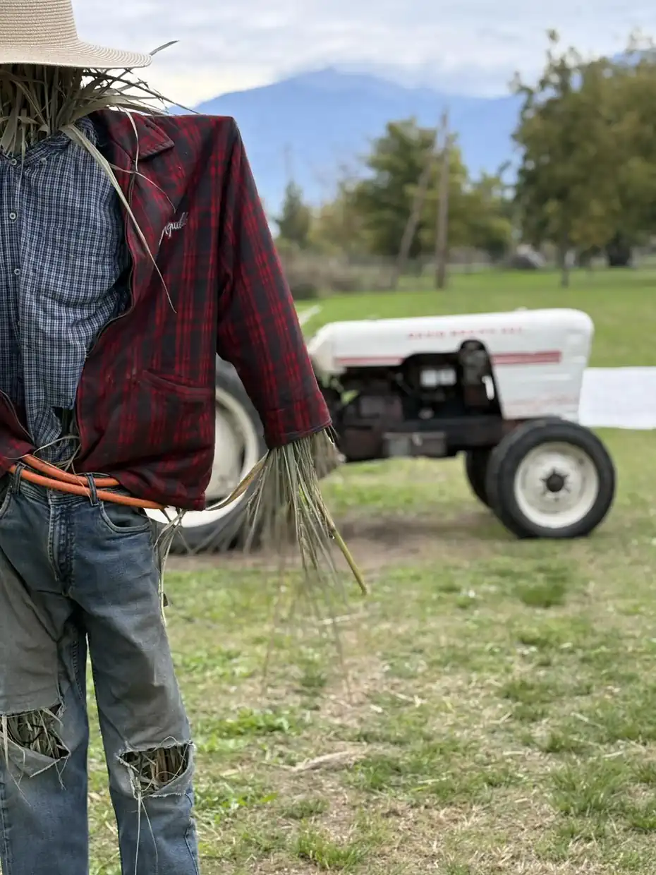 Μία χαρούμενη γιορτή κολοκύθας στην Ολυμπιακή Ακτή Κατερίνης