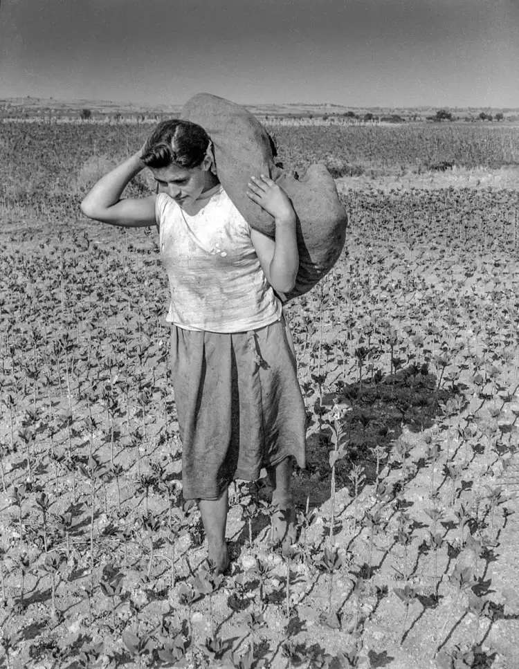 Μικρή αφήγηση του αρχαιολόγου Βαγγέλη Παπαθανασίου σε μια φωτογραφία από τα καπνοχώραφα της Κατερίνης Μικρή αφήγηση του αρχαιολόγου Βαγγέλη Παπαθανασίου σε μια φωτογραφία από τα καπνοχώραφα της Κατερίνης
