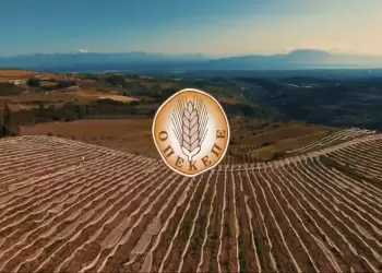 ΟΠΕΚΕΠΕ: Νέες πληρωμές σε αγρότες με στόχο τις δίκαιες ενισχύσεις