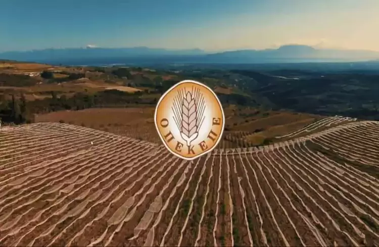 ΟΠΕΚΕΠΕ: Νέες πληρωμές σε αγρότες με στόχο τις δίκαιες ενισχύσεις