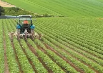 ΟΠΕΚΕΠΕ: Πληρωμές 46 εκατ. ευρώ σε 82.870 αγρότες για συνδεδεμένες ενισχύσεις