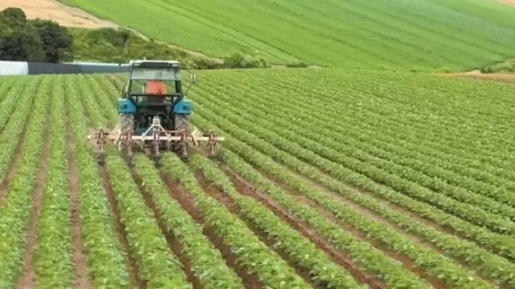 ΟΠΕΚΕΠΕ: Πληρωμές 46 εκατ. ευρώ σε 82.870 αγρότες για συνδεδεμένες ενισχύσεις