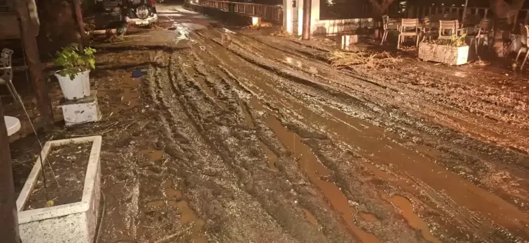 Ο ουρανός συννεφώδης, η γη τσαμουρώδης