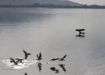 Πώς θα είναι ο καιρός σε Κατερίνη και Πιερία σήμερα Τρίτη, 11 Νοεμβρίου 2025: Συννεφιά με τοπικές βροχές