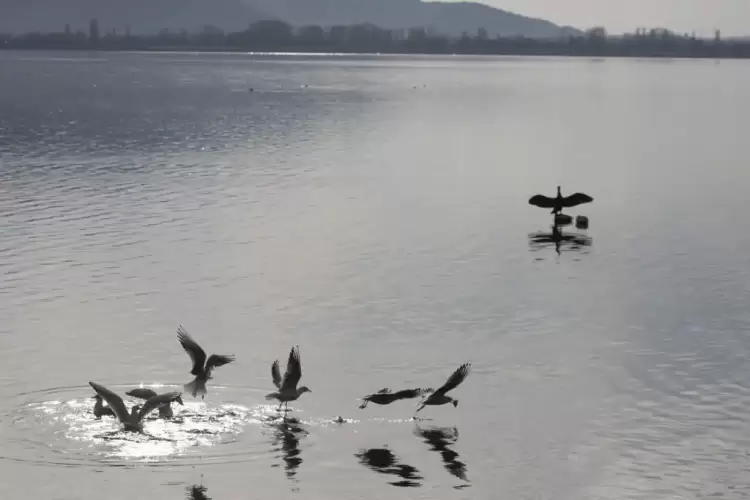 Πώς θα είναι ο καιρός σε Κατερίνη και Πιερία σήμερα Τρίτη, 11 Νοεμβρίου 2025: Συννεφιά με τοπικές βροχές