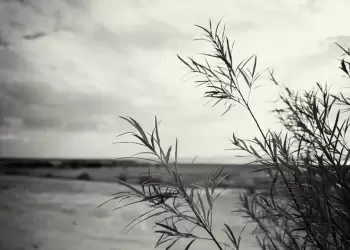 Ο καιρός σήμερα για Κατερίνη και Πιερία: Πρόγνωση και τρέχουσες καιρικές συνθήκες