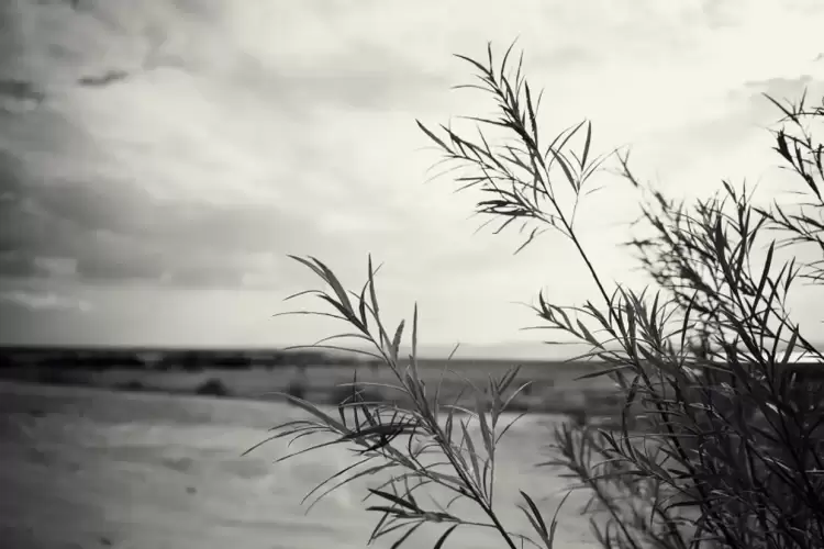 Πώς θα είναι ο καιρός σε Κατερίνη και Πιερία σήμερα Σάββατο, 29 Νοεμβρίου 2025: Νεφώσεις με βροχές και σποραδικές καταιγίδες