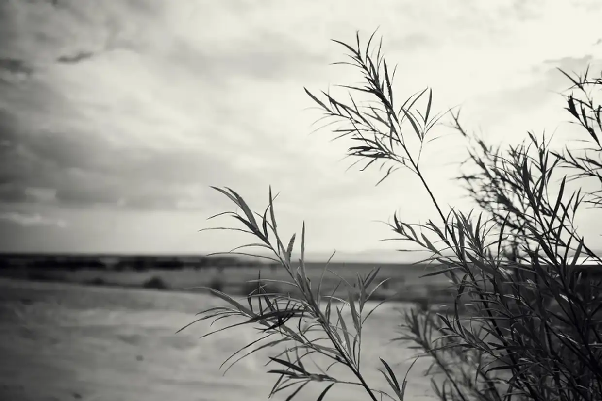 Πώς θα είναι ο καιρός σε Κατερίνη και Πιερία σήμερα Σάββατο, 29 Νοεμβρίου 2025: Νεφώσεις με βροχές και σποραδικές καταιγίδες