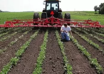 Τι αλλάζει στις επιδοτήσεις το 2026 για τους αγρότες και τις πληρωμές