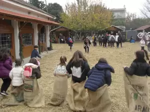 Τσουβαλοδρομίες στην Κατερίνη