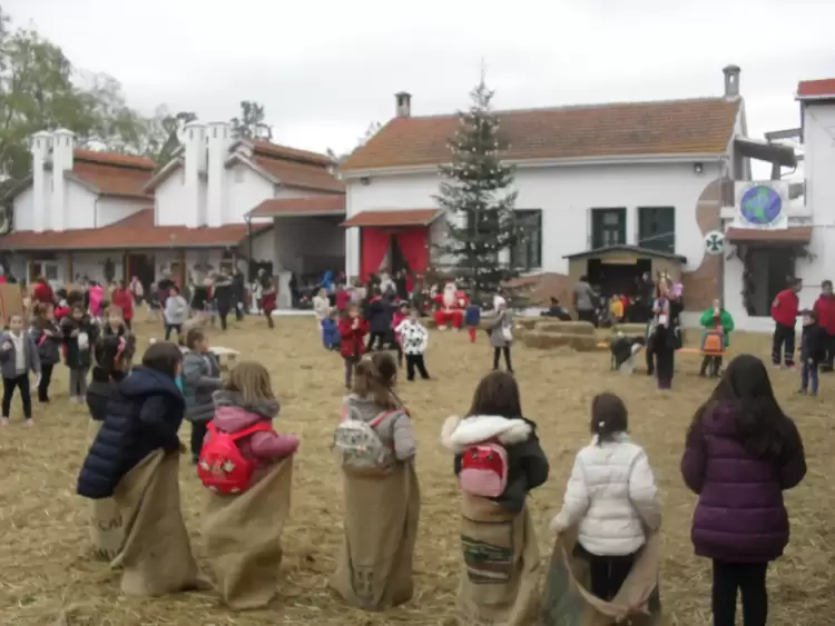 Τσουβαλοδρομίες στην Κατερίνη