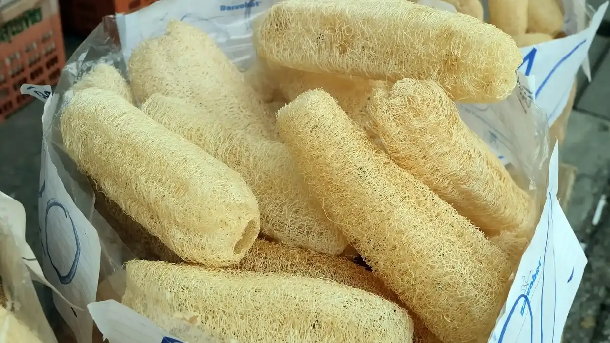 To μαθητικό πηλήκιο To μαθητικό πηλήκιο