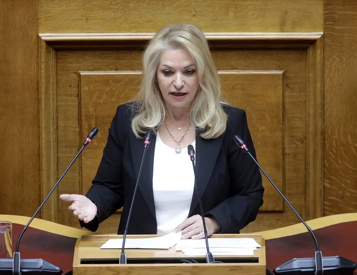 Άννα Μάνη – Παπαδημητρίου: Κεντρική εισηγήτρια στο νομοσχέδιο για το εργοστάσιο Τεχνητής Νοημοσύνης Άννα Μάνη – Παπαδημητρίου: Κεντρική εισηγήτρια στο νομοσχέδιο για το εργοστάσιο Τεχνητής Νοημοσύνης