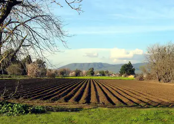 Επιπλέον πληρωμές αγροτών 2025: 487,9 εκατ. από ΟΠΕΚΕΠΕ και ΕΛΓΑ – Σύνολο 3,8 δισ. Επιπλέον πληρωμές αγροτών 2025: 487,9 εκατ. από ΟΠΕΚΕΠΕ και ΕΛΓΑ – Σύνολο 3,8 δισ.