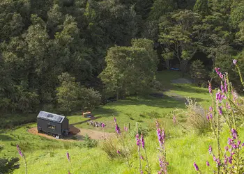 Μέσα στο δάσος στην ερημιά Μέσα στο δάσος στην ερημιά