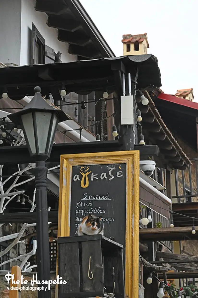 Παλαιός Παντελεήμονας: ο παραμυθένιος οικισμός της Πιερίας Παλαιός Παντελεήμονας: ο παραμυθένιος οικισμός της Πιερίας