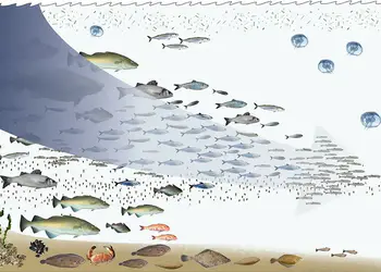 Χρηματοδότηση έως 50% για μεταποίηση αλιευτικών προϊόντων – Πρόσκληση ΠΑΛΥΘ Χρηματοδότηση έως 50% για μεταποίηση αλιευτικών προϊόντων – Πρόσκληση ΠΑΛΥΘ